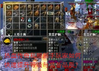 ��Ѫ����˽�����������ο��������ȼ���װ��Ʒ�ʣ�