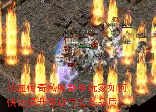 ��Ѫ����˽�����������ο��������ȼ���װ��Ʒ�ʣ�