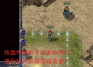 ��Ѫ�������������ο�����������ȡ����װ����