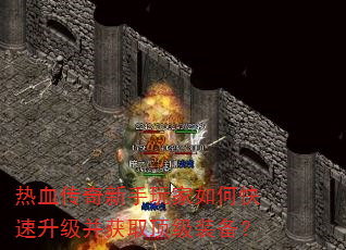 ��Ѫ�������������ο�����������ȡ����װ����