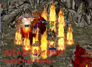 Ӣ�ۺϻ�˽��������ο�������ս���ȼ���