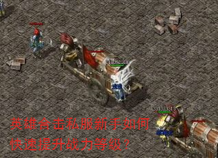 Ӣ�ۺϻ�˽��������ο�������ս���ȼ���