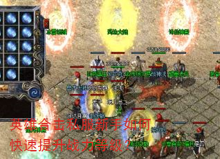 Ӣ�ۺϻ�˽��������ο�������ս���ȼ���