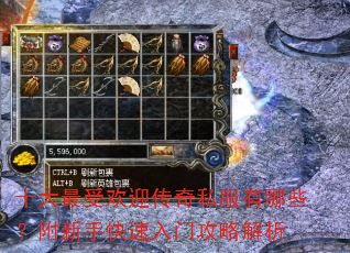 ʮ�����ܻ�ӭ����˽������Щ�������ֿ������Ź��Խ���