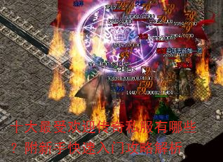 ʮ�����ܻ�ӭ����˽������Щ�������ֿ������Ź��Խ���