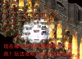 ������Щ����˽���汾������ߣ��淨������ְҵѡ��ָ��