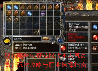 ������Щ����˽���汾������ߣ��淨������ְҵѡ��ָ��