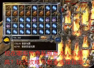 ������Щ����˽���汾������ߣ��淨������ְҵѡ��ָ��