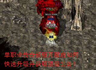 ��ְҵ�����·���������ο�����������ȡ����װ����