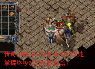 ����˽�����ɰ�������ο��������ռ�BOSS��ս�ؼ���