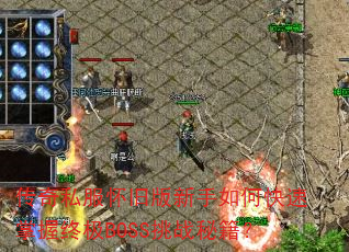 ����˽�����ɰ�������ο��������ռ�BOSS��ս�ؼ���