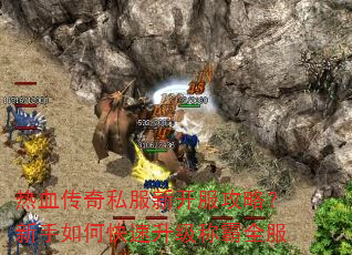 ��Ѫ����˽���¿������ԣ�������ο��������ư�ȫ��