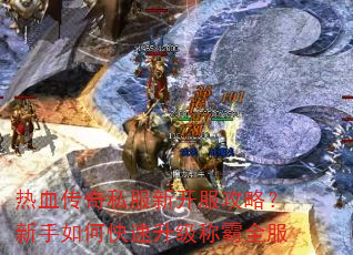 ��Ѫ����˽���¿������ԣ�������ο��������ư�ȫ��