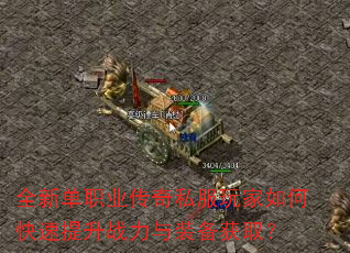 ȫ�µ�ְҵ����˽�������ο�������ս����װ����ȡ��