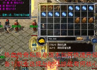 ��Ѫ����˽���ϰ汾��ο�����������ȡ��Ʒװ����ְҵѡ����BOSS��ս�кκ��ļ��ɣ�