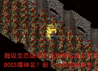 ������̬�浥ְҵ����˽����ο���ˢBOSS����װ�����ֱؿ����Խ��