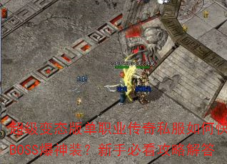 ������̬�浥ְҵ����˽����ο���ˢBOSS����װ�����ֱؿ����Խ��