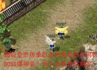 ������̬�浥ְҵ����˽����ο���ˢBOSS����װ�����ֱؿ����Խ��