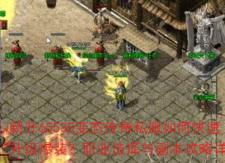 �¿�65535��̬����˽����ο���������װ��ְҵѡ���븱���������