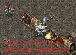 ����˽��sf������234������ο����������ȡ����װ����