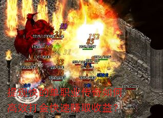 ���ֿ�ĵ�ְҵ������θ�Ч������׬ȡ���棿