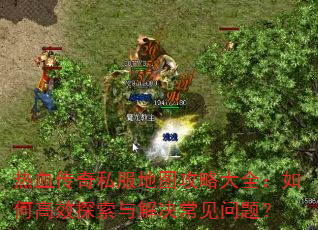 ��Ѫ����˽����ͼ���Դ�ȫ����θ�Ч̽�������������⣿