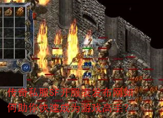 ����˽��SF���������������������ٳ�Ϊ��Ϸ���֣�