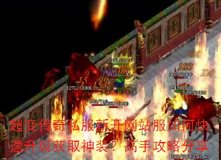 ���䴫��˽���¿���վ����ο���������ȡ��װ�����ֹ��Է���