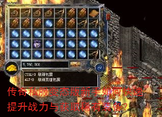 ����˽����̬��������ο�������ս�����ȡϡ��װ����