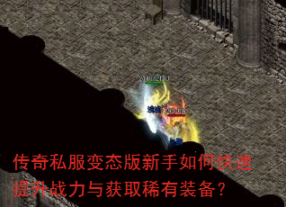 ����˽����̬��������ο�������ս�����ȡϡ��װ����