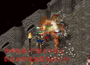 ����˽��175�汾��սʿְҵ��ο�������ս������