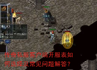 ����˽���ͻ��˿��������ѡ�񼰳���������