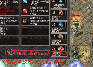 ����˽���ͻ��˿��������ѡ�񼰳���������