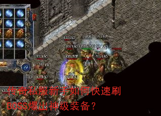 ����˽��������ο���ˢBOSS������װ����