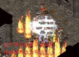 �¿�����˽�������ο�������ս���ȼ���