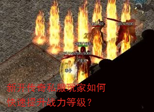 �¿�����˽�������ο�������ս���ȼ���