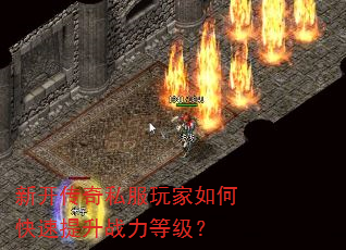 �¿�����˽�������ο�������ս���ȼ���