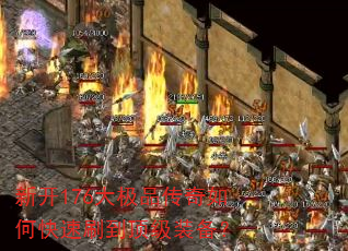 �¿�176��Ʒ������ο���ˢ������װ����