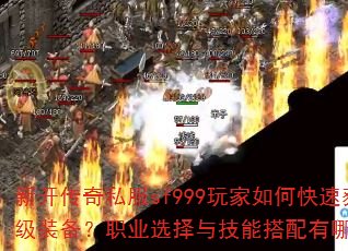 �¿�����˽��sf999�����ο��ٻ�ȡ����װ����ְҵѡ���뼼�ܴ�������Щ���ɣ�