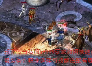 �¿�����˽��sf999�����ο��ٻ�ȡ����װ����ְҵѡ���뼼�ܴ�������Щ���ɣ�