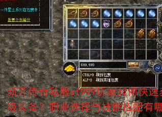 �¿�����˽��sf999�����ο��ٻ�ȡ����װ����ְҵѡ���뼼�ܴ�������Щ���ɣ�