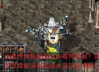 ��Ѫ����˽�����汾�к��������ѡ�����ʺϵİ汾���淨���ԣ�