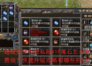 ������̬����˽��VIPħʯ��ô����죿����������������Щ���ţ�