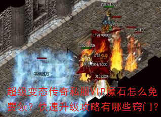 ������̬����˽��VIPħʯ��ô����죿����������������Щ���ţ�