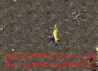 ������̬����˽��VIPħʯ��ô����죿����������������Щ���ţ�