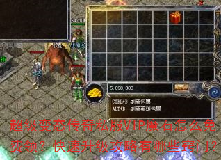 ������̬����˽��VIPħʯ��ô����죿����������������Щ���ţ�