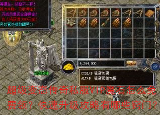 ������̬����˽��VIPħʯ��ô����죿����������������Щ���ţ�