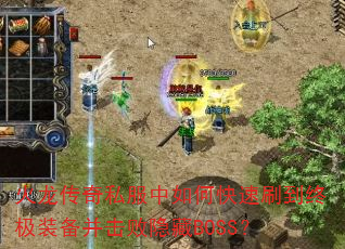 ��������˽������ο���ˢ���ռ�װ������������BOSS��