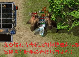 ��̬��������˽����ο��ٻ�ȡ��Ʒװ�������ֱؿ���������Щ��