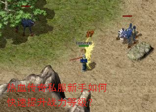 ��Ѫ����˽��������ο�������ս���ȼ���